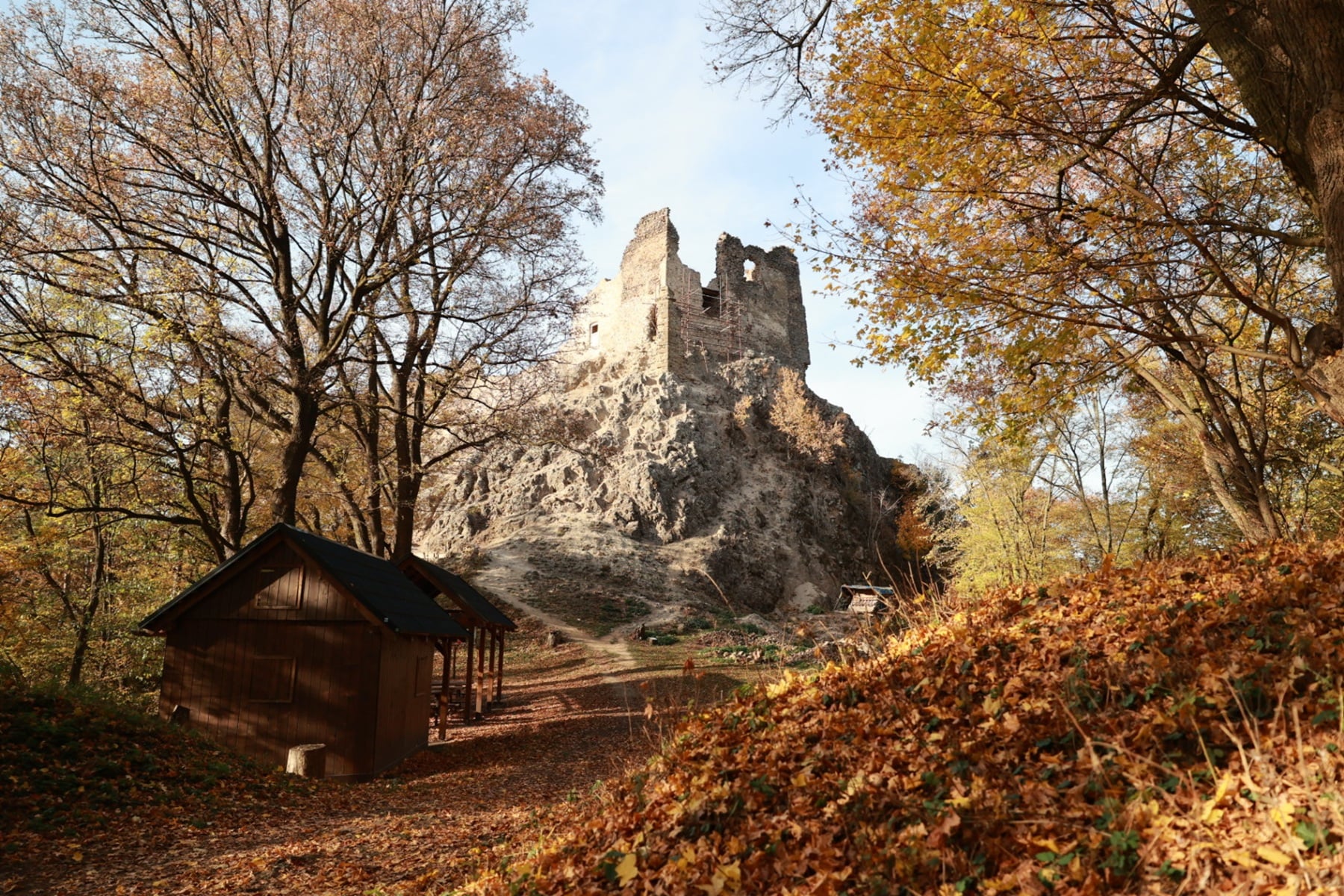 Hrad medzi stromami.