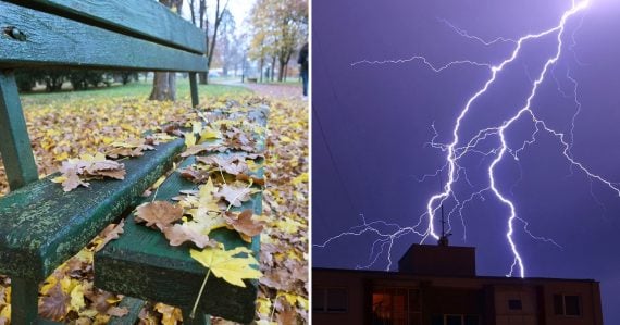 Pohľad na lavičku pokrytú popadaným lístím a na blesky