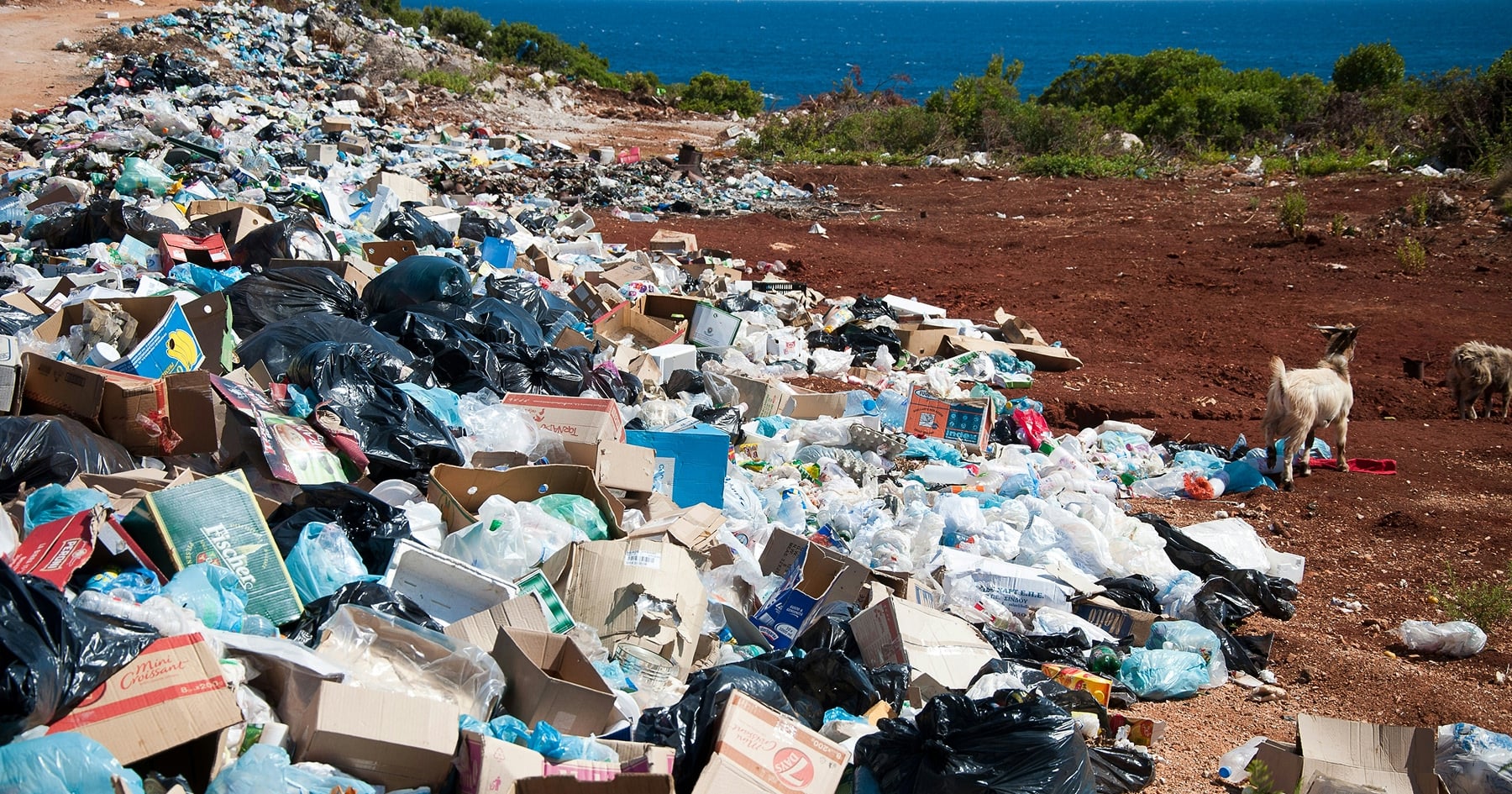 Smetisko
