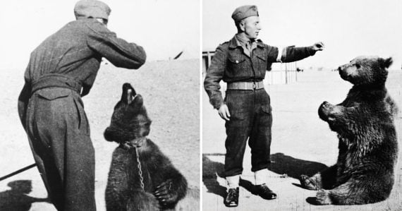 Medveď Wojtek s poľským vojakom