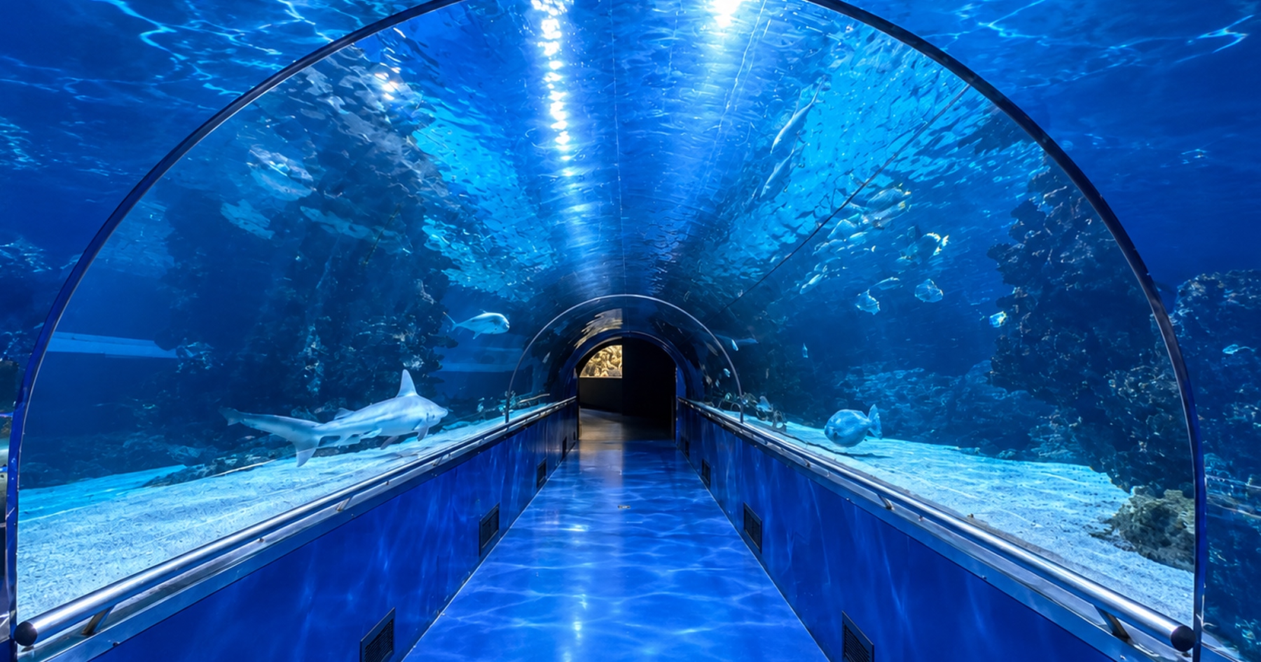 Tunel so žralokmi