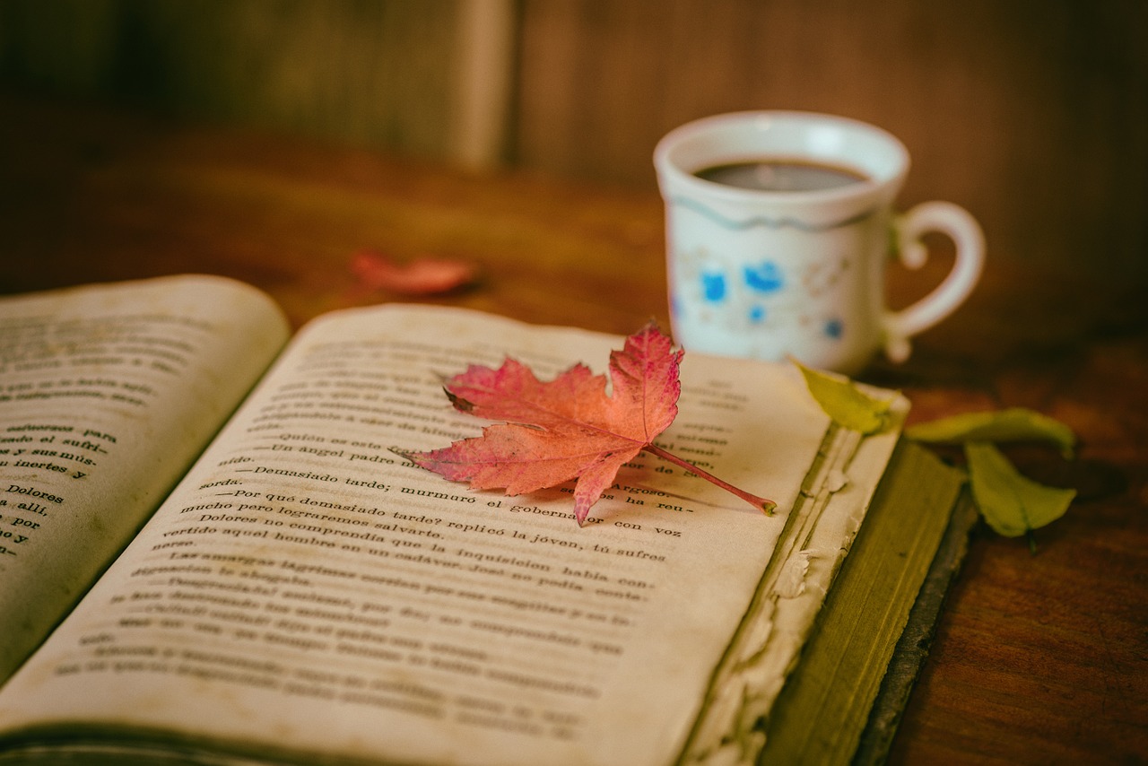 pixabay.com